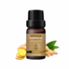 Ginger Essential Oil